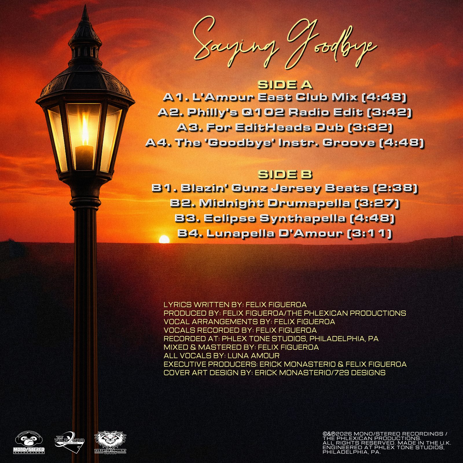 Vinyl Back Cover